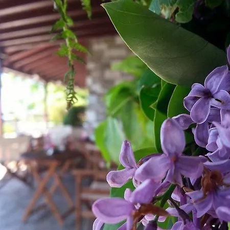 Anemoessa Traditional Konukevi